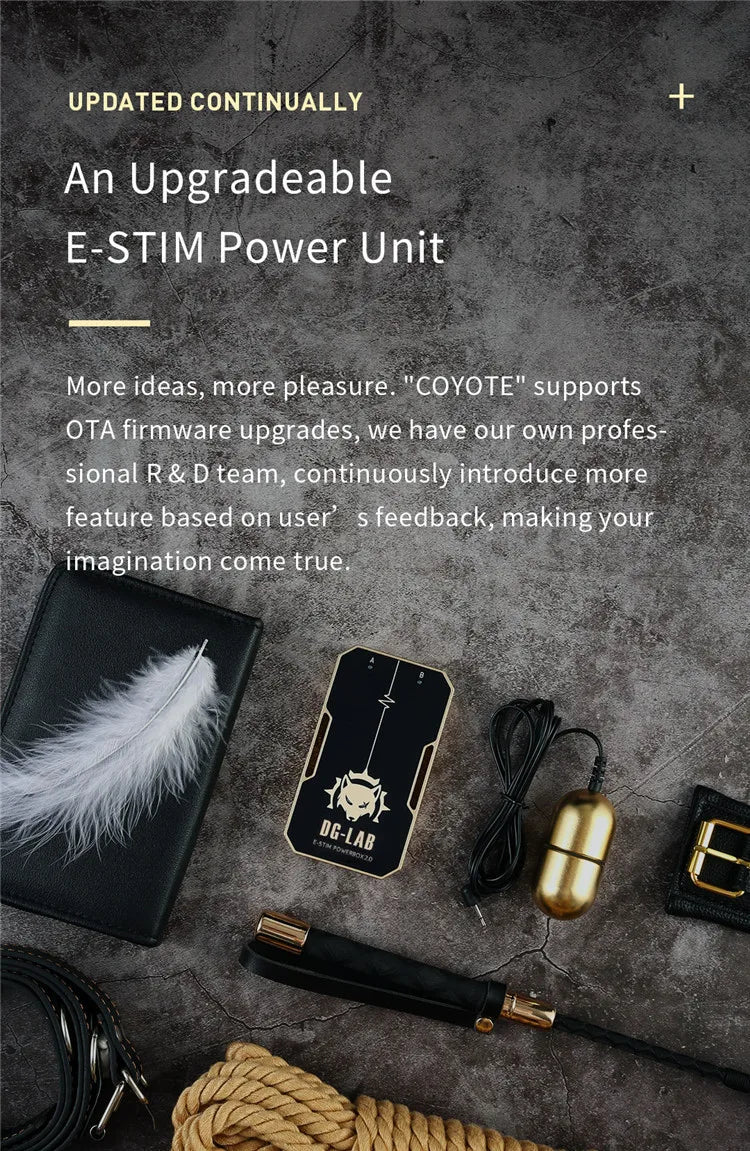 DG-LAB 3.0 E-Stim Power Box "PawPrints" Wireless Button APP Control Electric Shock Medical Themed Sex Electrical Stimulator Toys